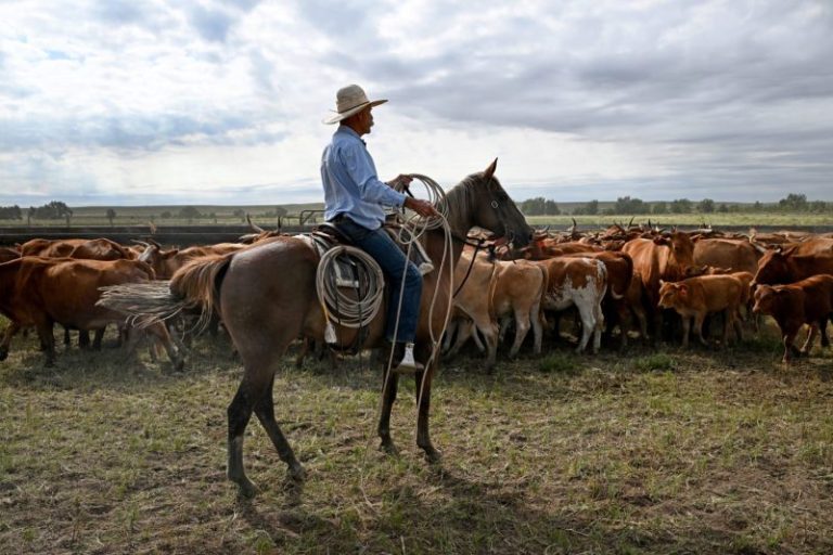Trump’s Argentina beef import plan will harm U.S. ranchers, industry warns